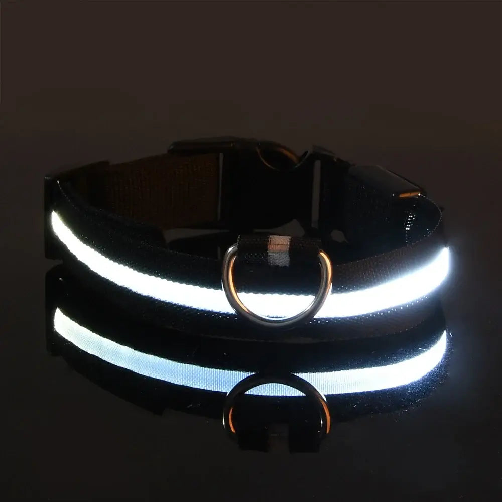 LED Dog Leash