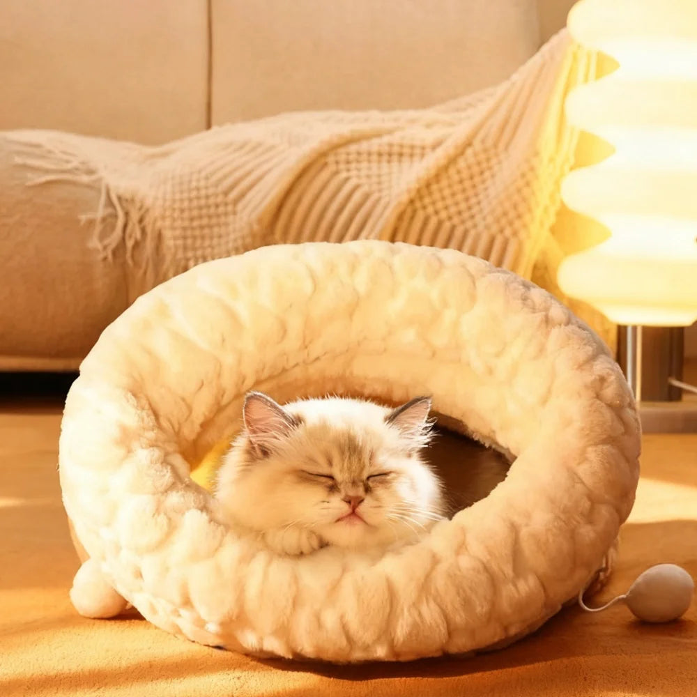 Enclosed cat bed