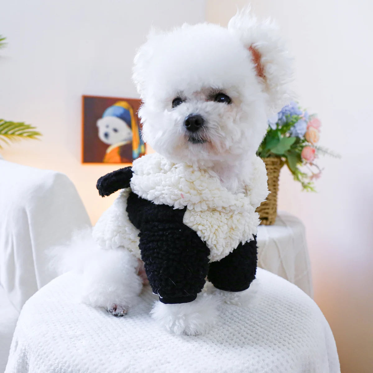 Panda hat jacket