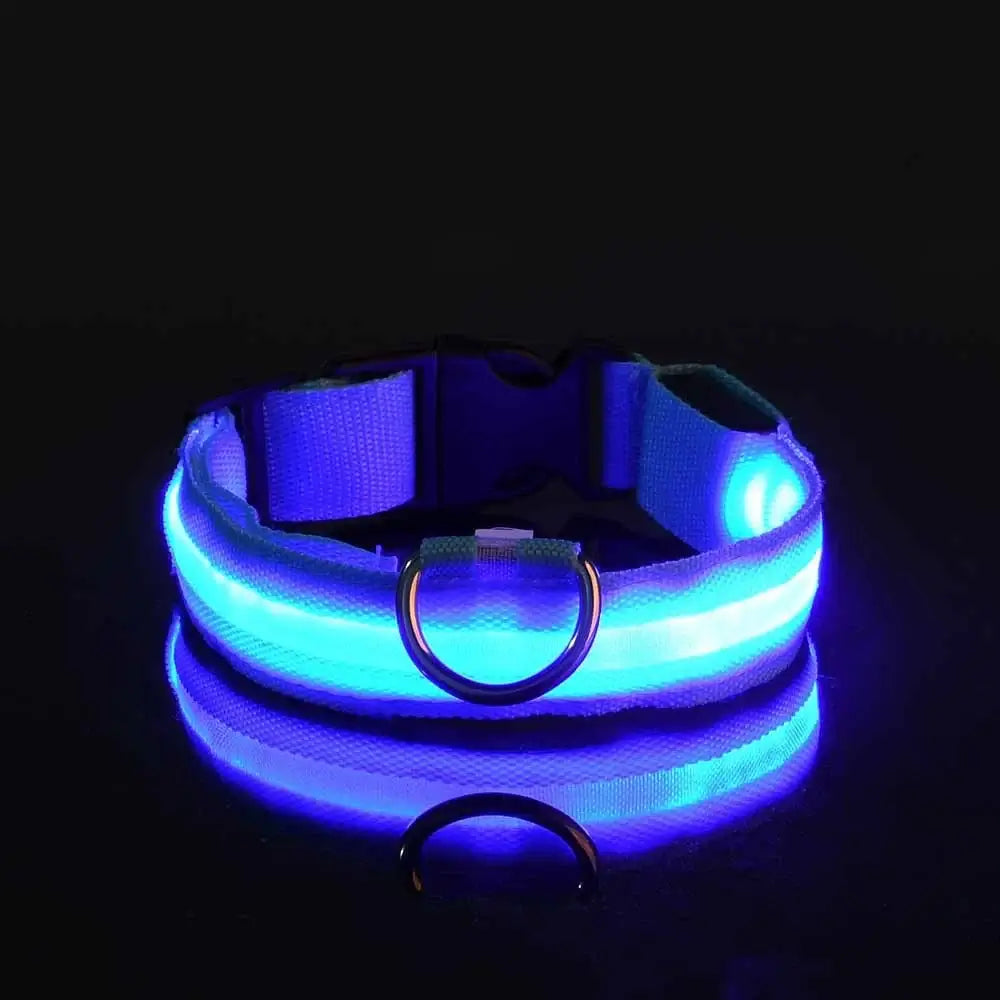 LED Dog Leash