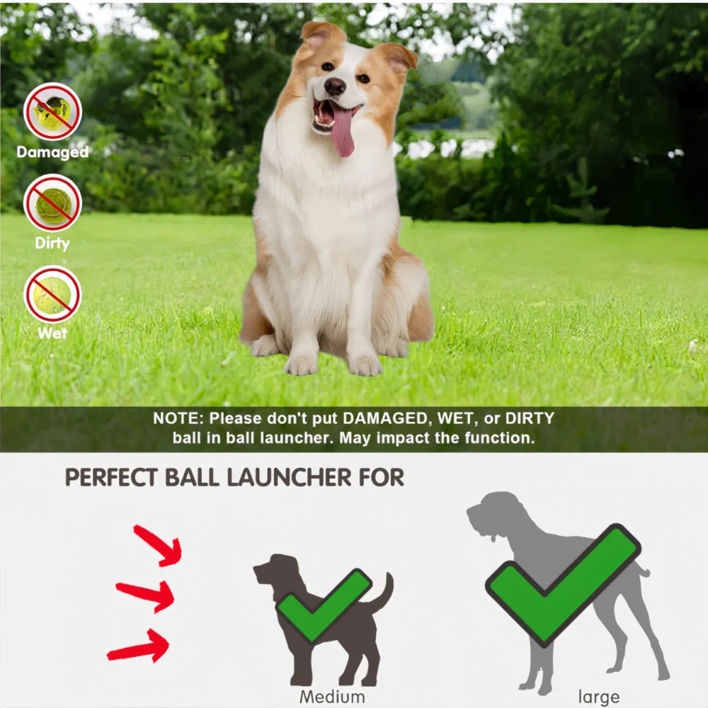 Launcher chase toy
