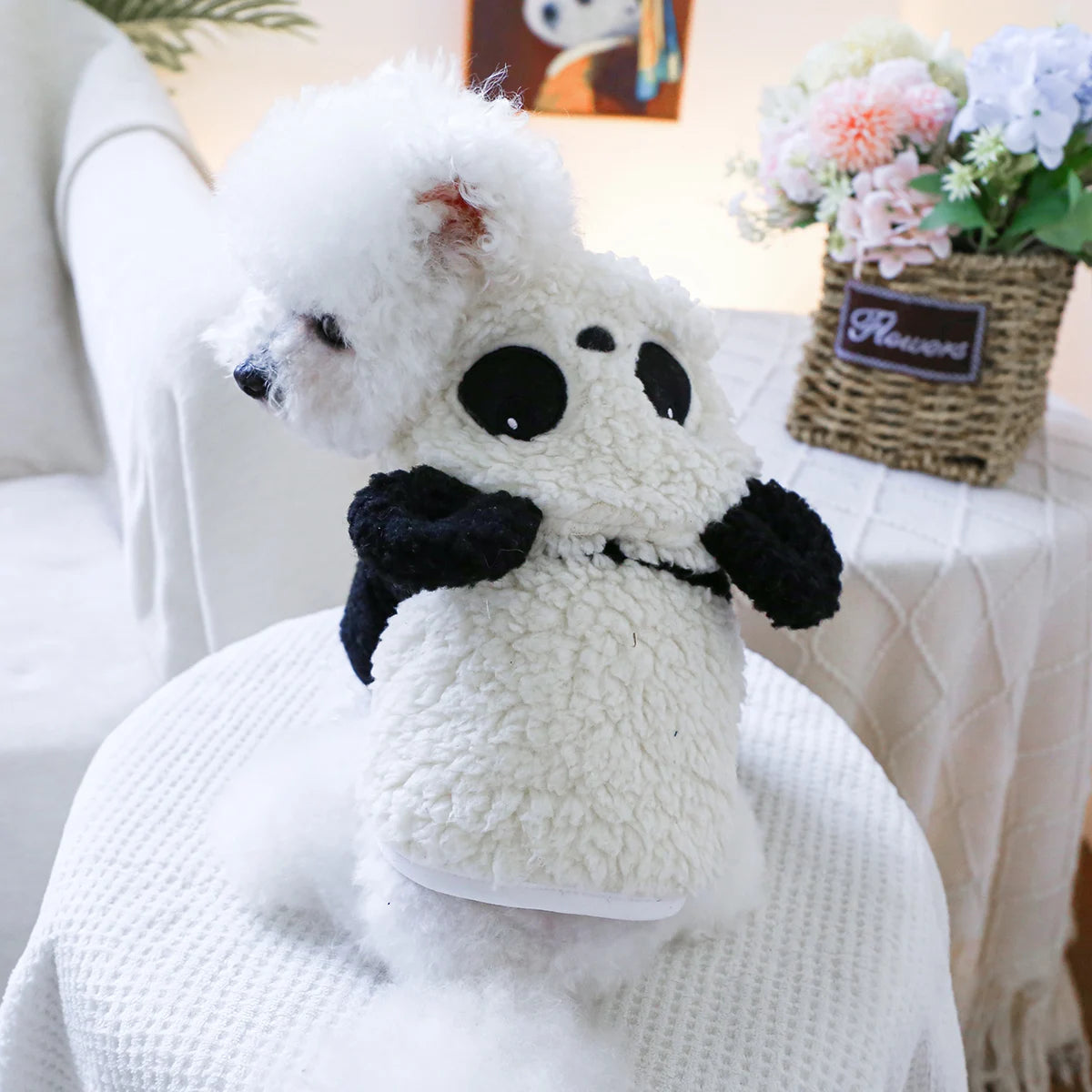 Panda hat jacket