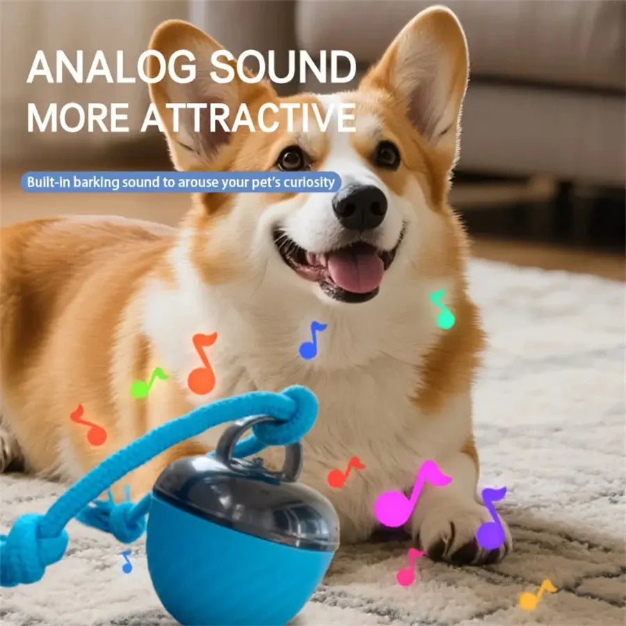 Intelligent toy ball