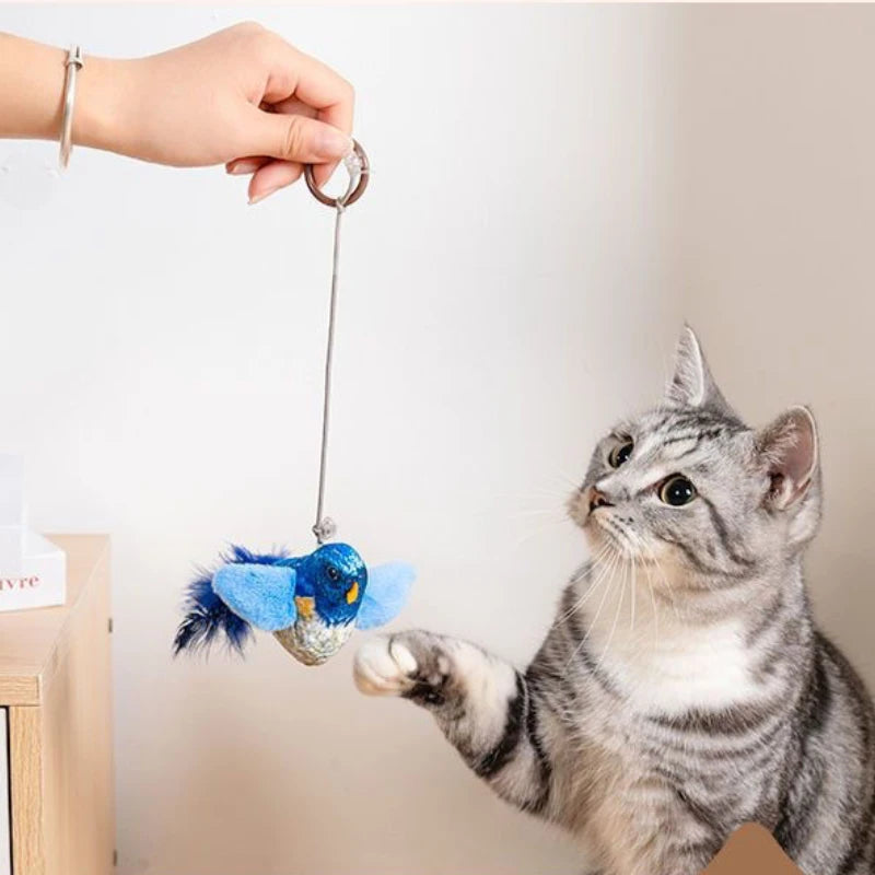 Bird toy for cat