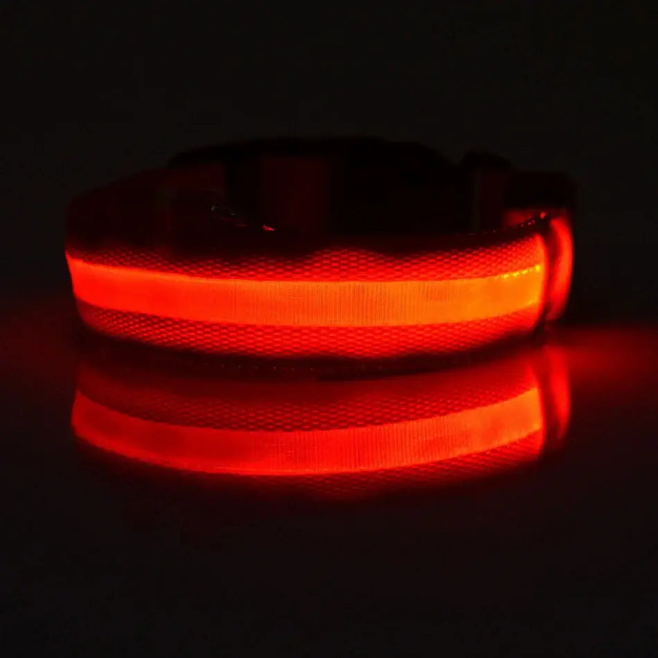 LED Dog Leash
