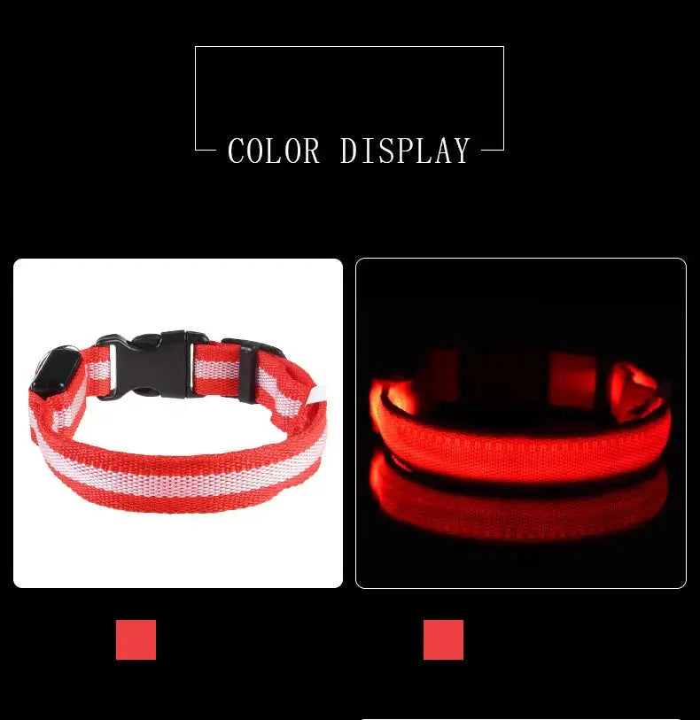 LED Dog Leash