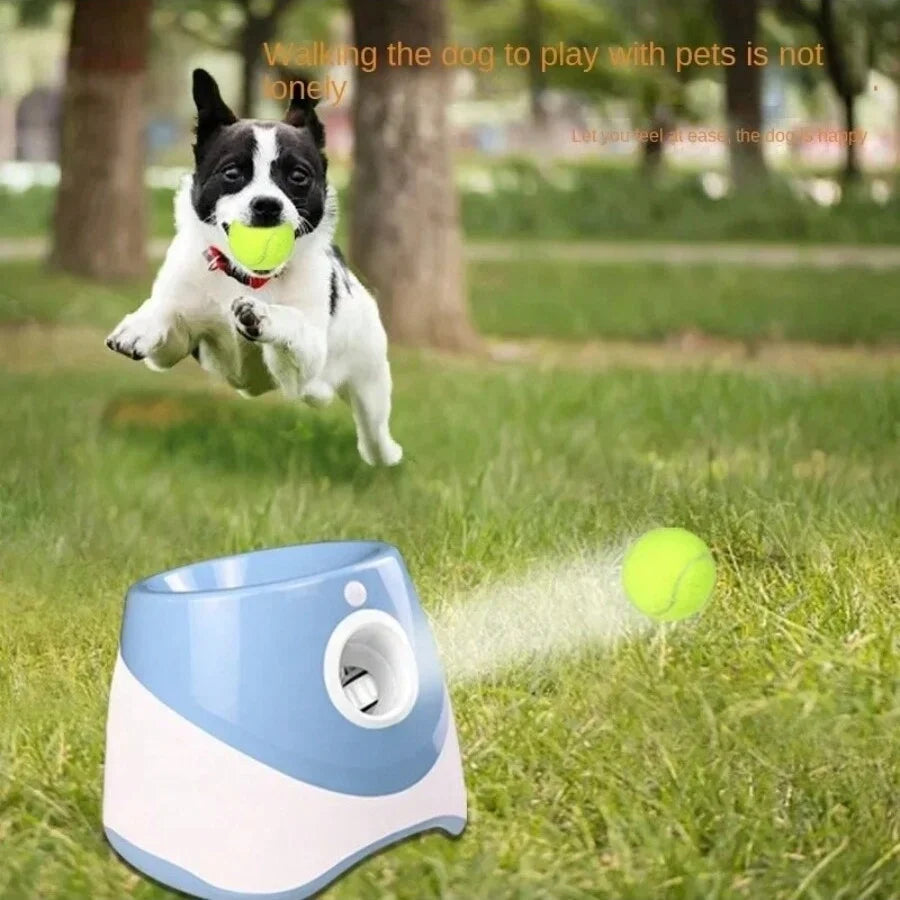 Launcher chase toy