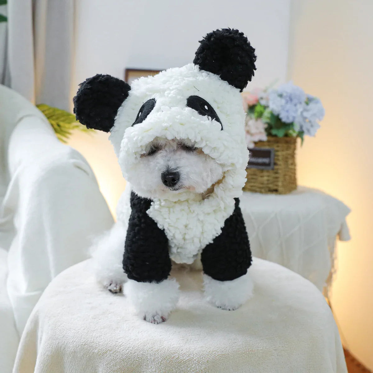 Pet Clothing