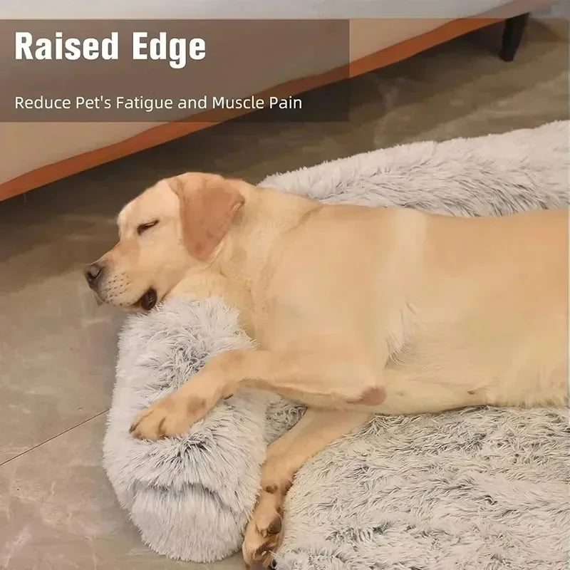 Detachable dog bed