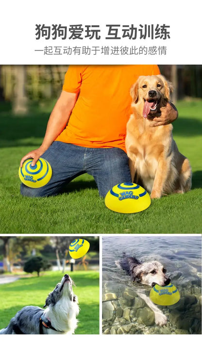 Wag glider for dogs