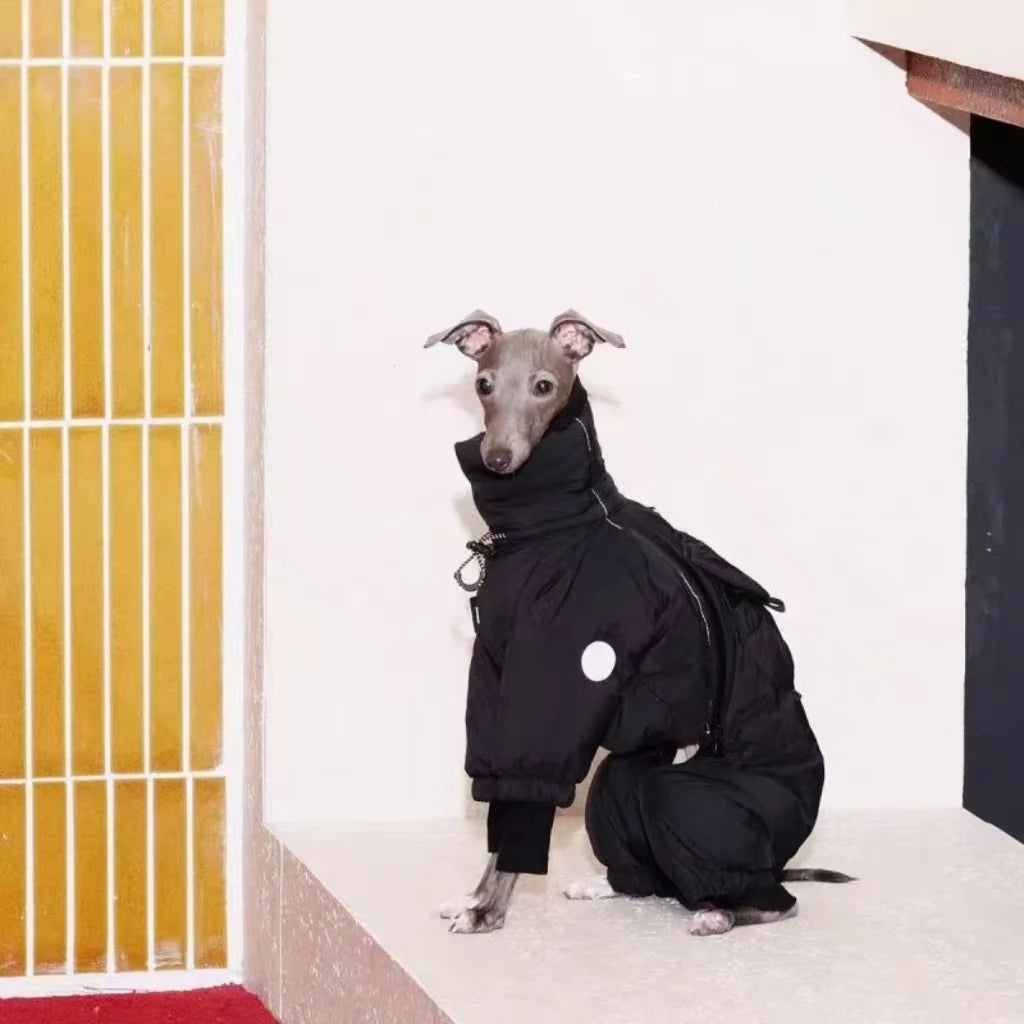 Windproof winter coat