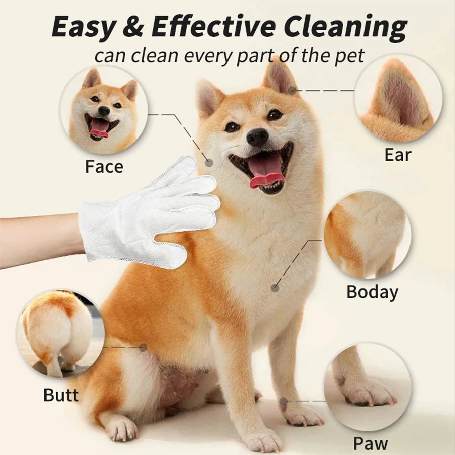 Cleaning gloves