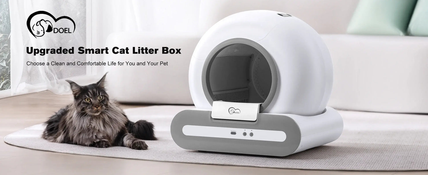 Cat Litter Box