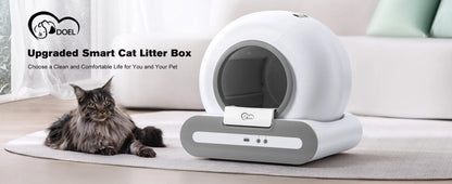 Cat Litter Box