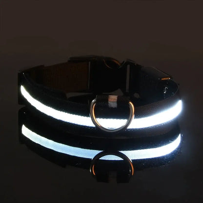 LED Dog Leash