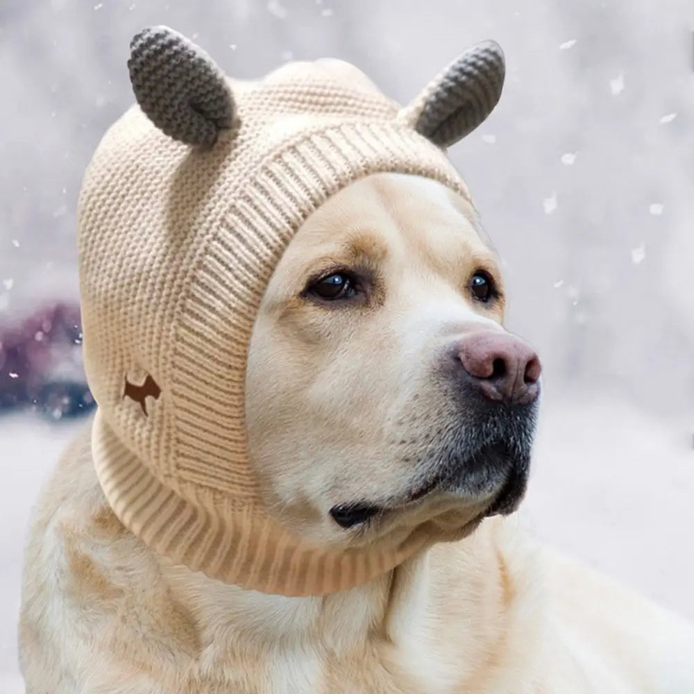 Dog ear noise protection hat