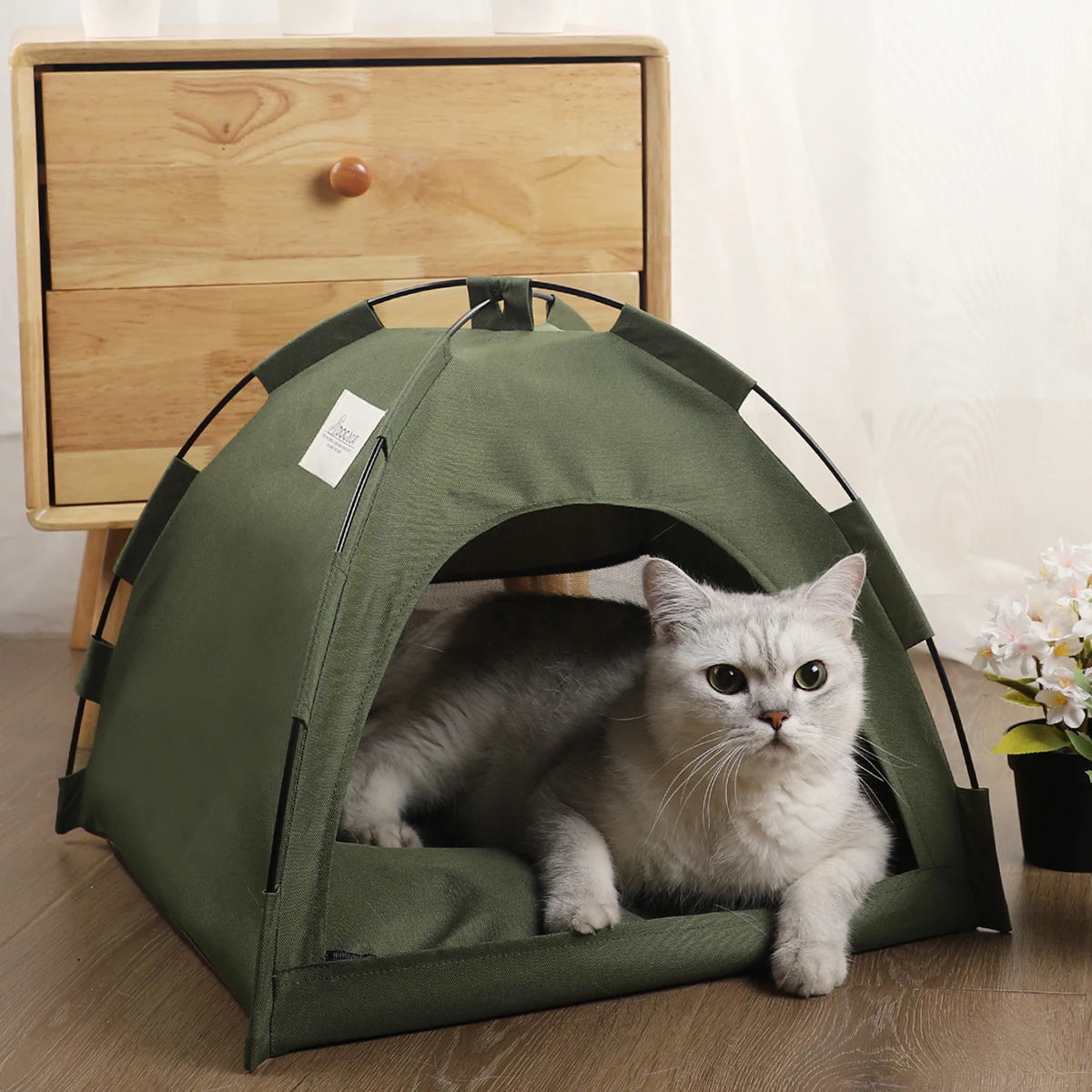 Tent bed