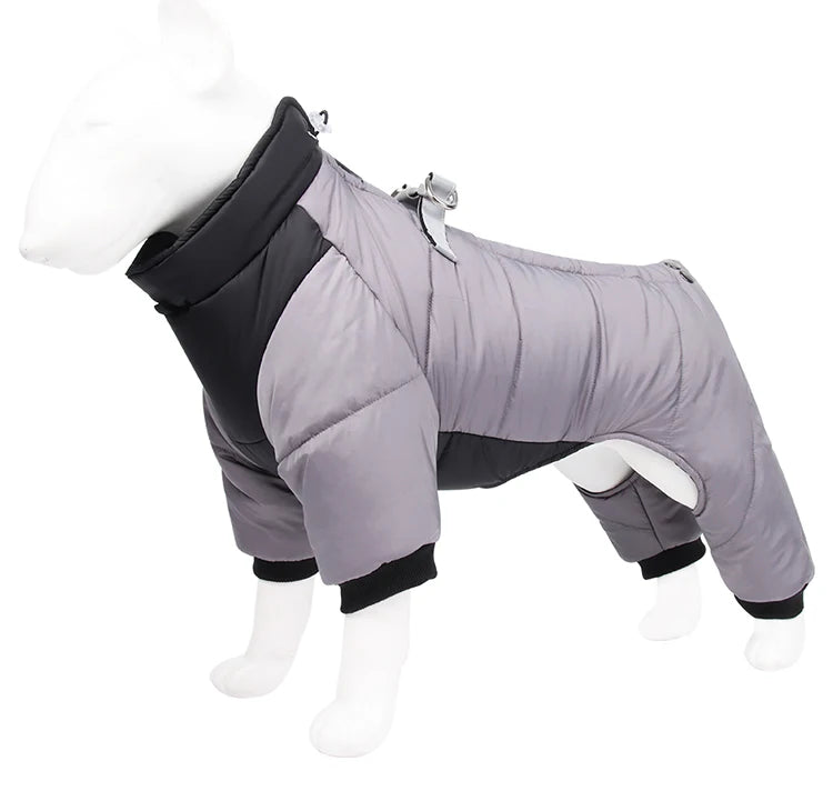 Dog winter coat