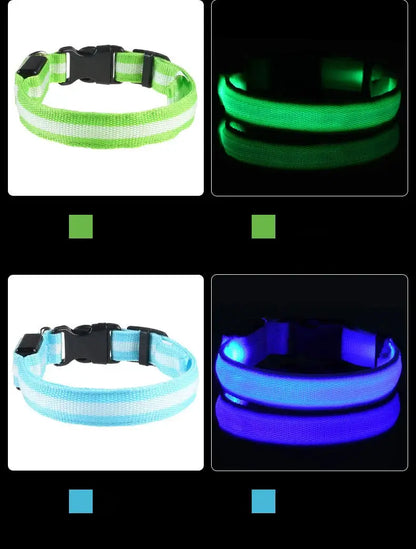 LED Dog Leash