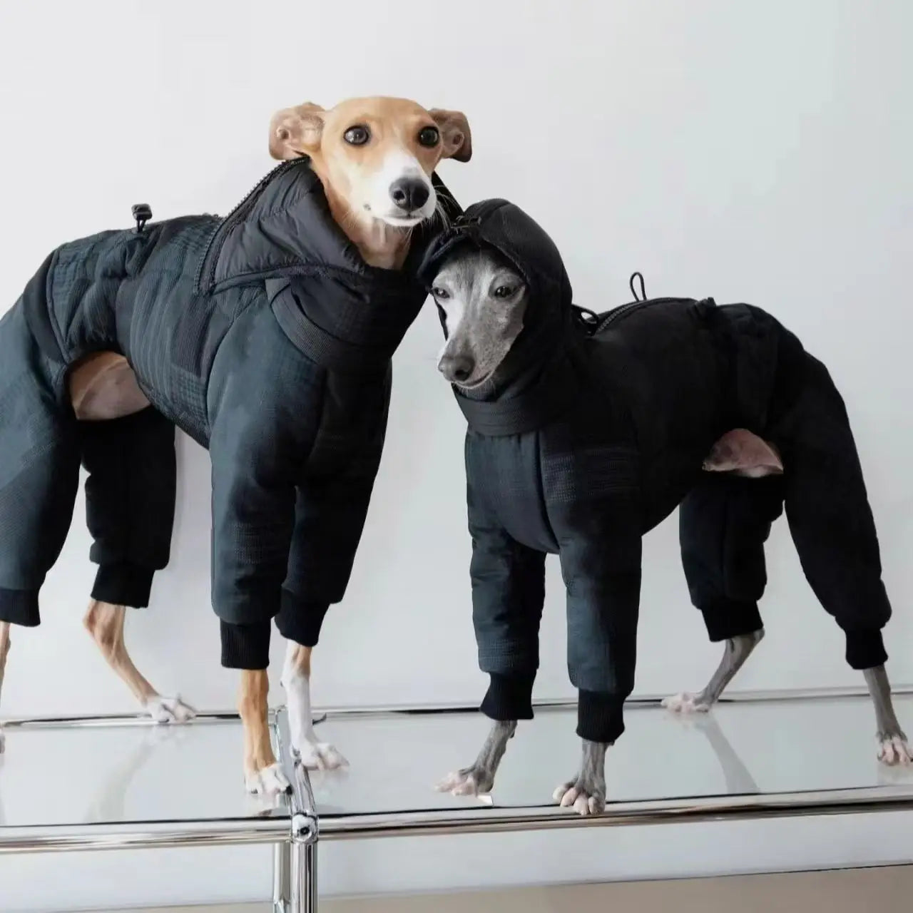 Windproof winter coat