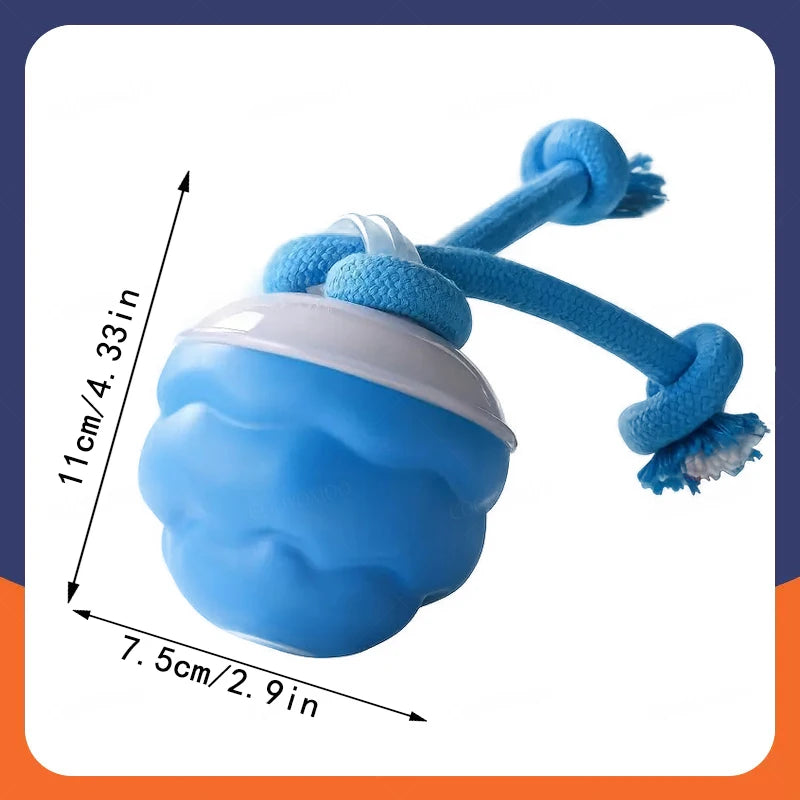 Intelligent toy ball