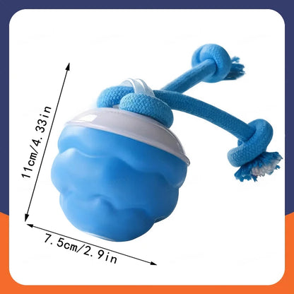 Intelligent toy ball