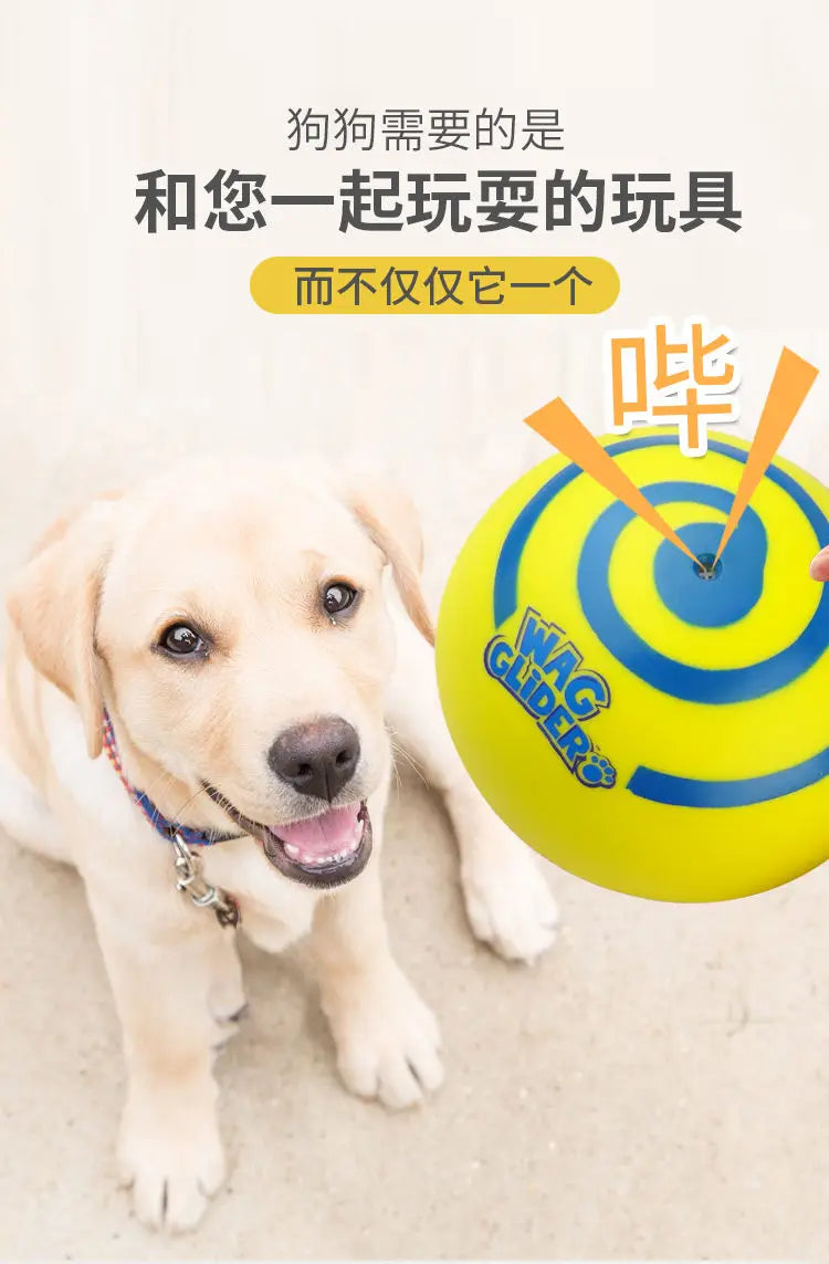 Wag glider for dogs