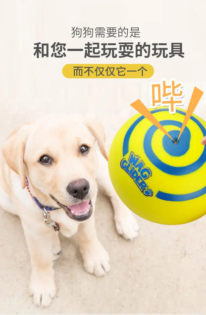 Wag glider for dogs
