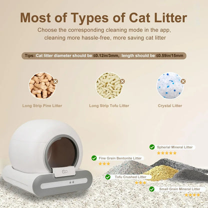 Cat Litter Box