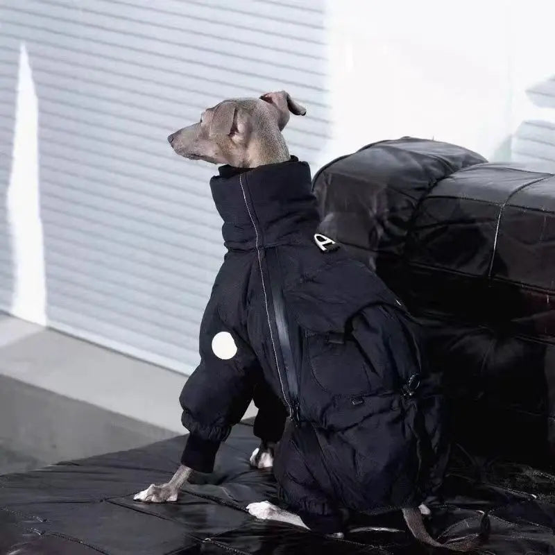 Windproof winter coat