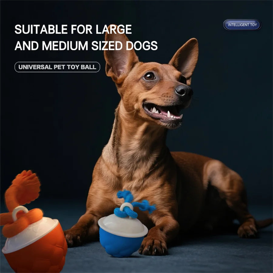 Intelligent toy ball