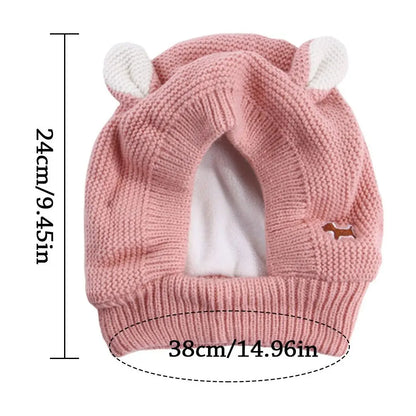 Dog ear noise protection hat
