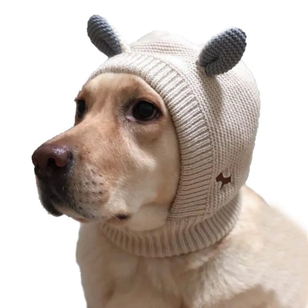 Dog ear noise protection hat