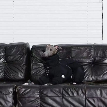 Windproof winter coat