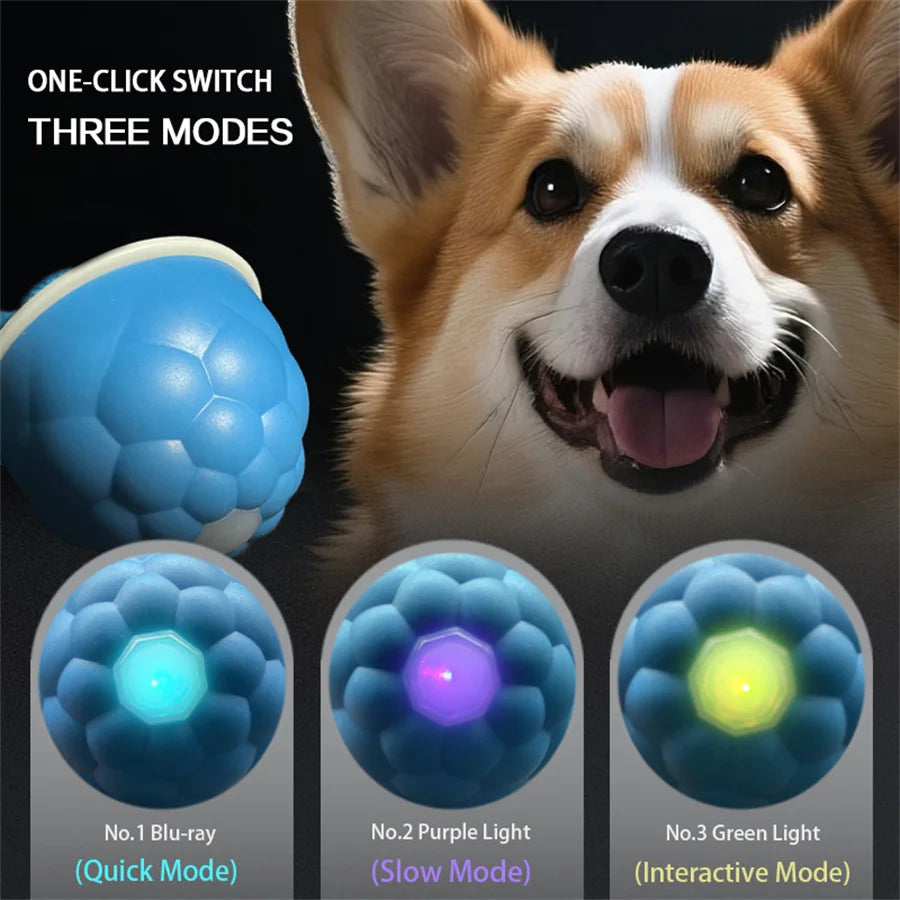 Intelligent toy ball