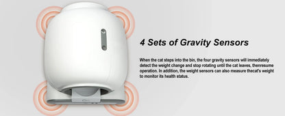 Cat Litter Box