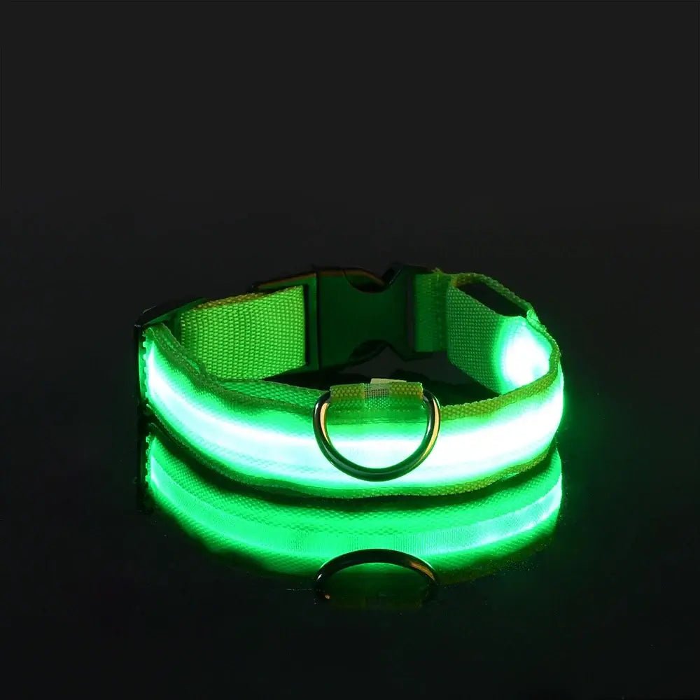 LED Dog Leash