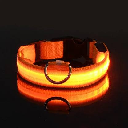LED Dog Leash