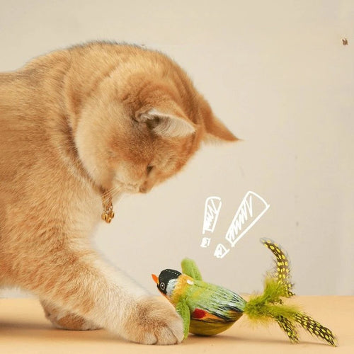 Bird toy for cat