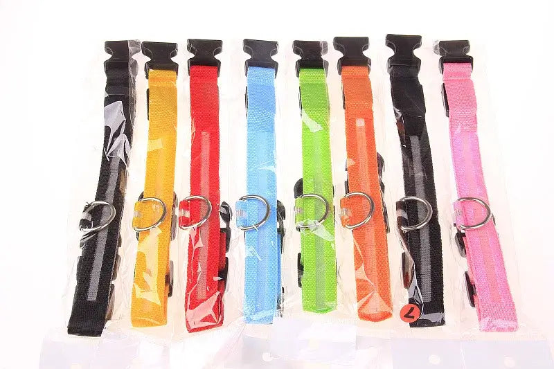 LED Dog Leash
