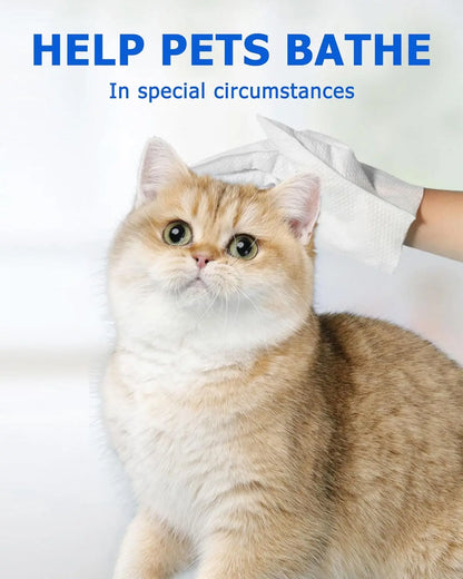 Cleaning gloves