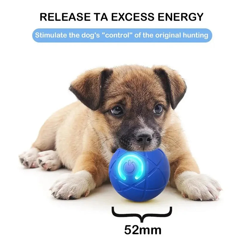 Interactive rolling ball