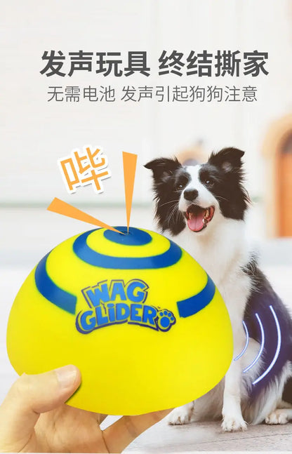 Wag glider for dogs