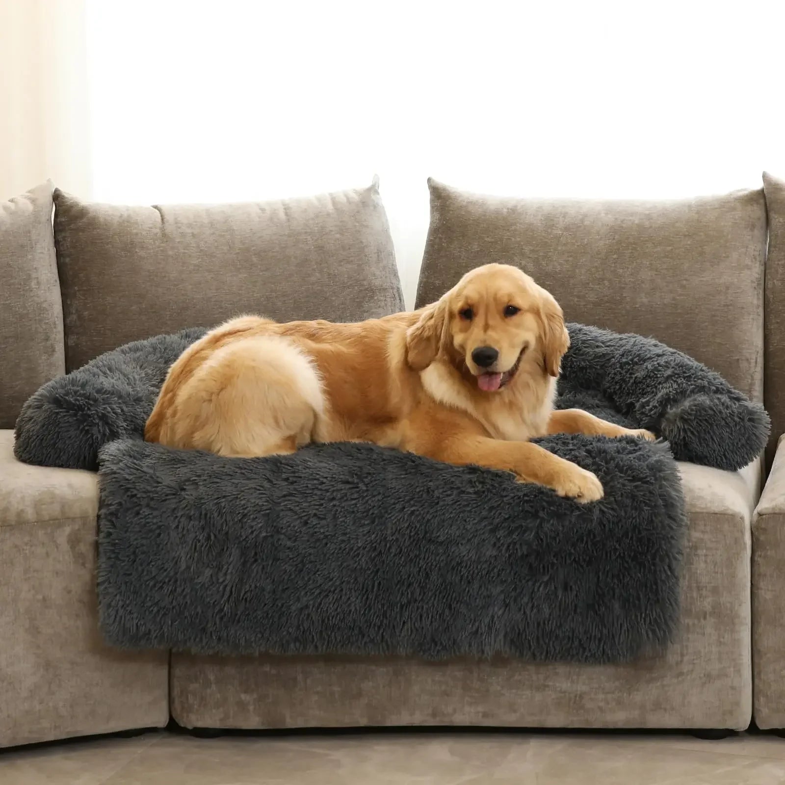 Detachable dog bed