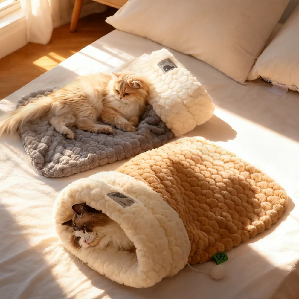 Enclosed cat bed