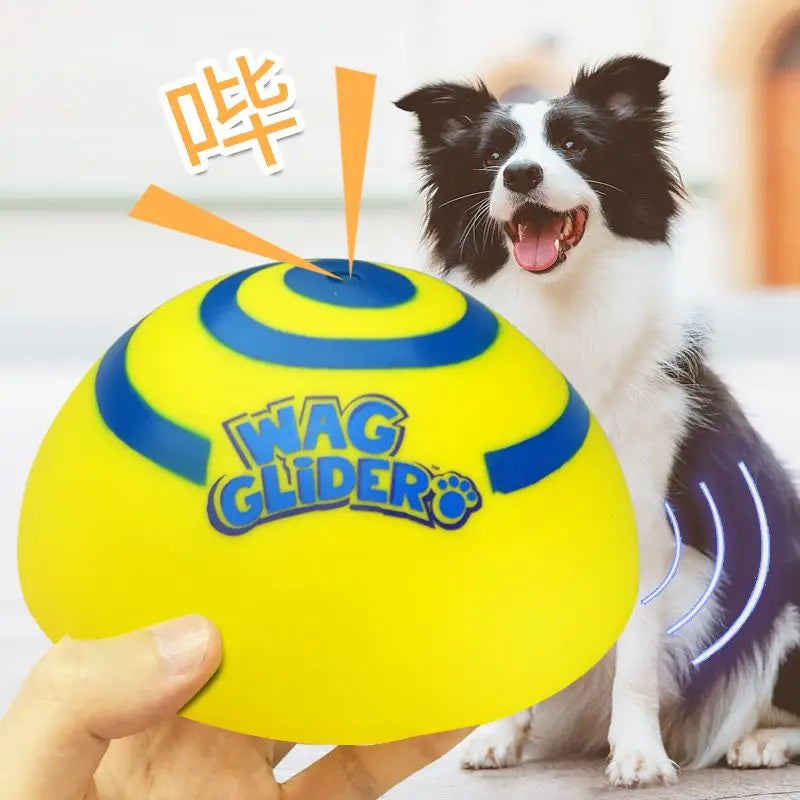 Wag glider for dogs