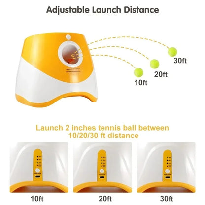 Launcher chase toy