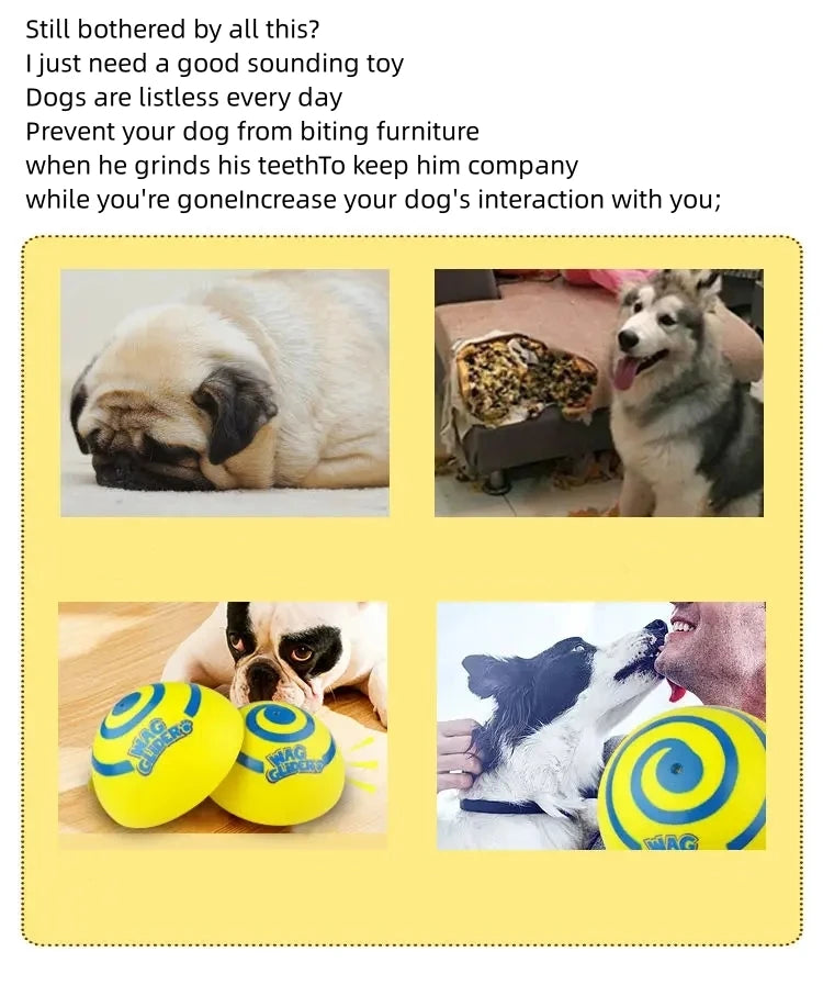 Wag glider for dogs