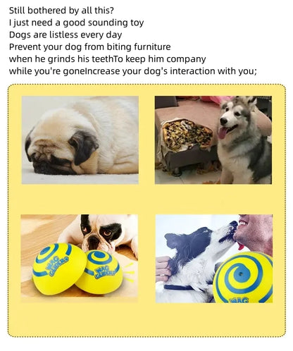 Wag glider for dogs