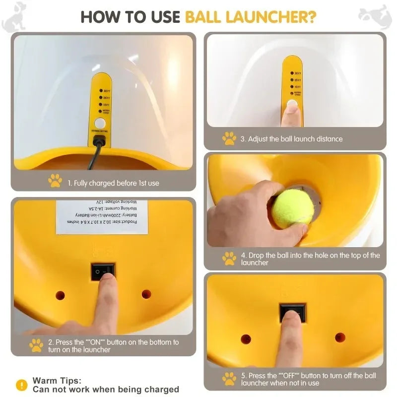 Launcher chase toy
